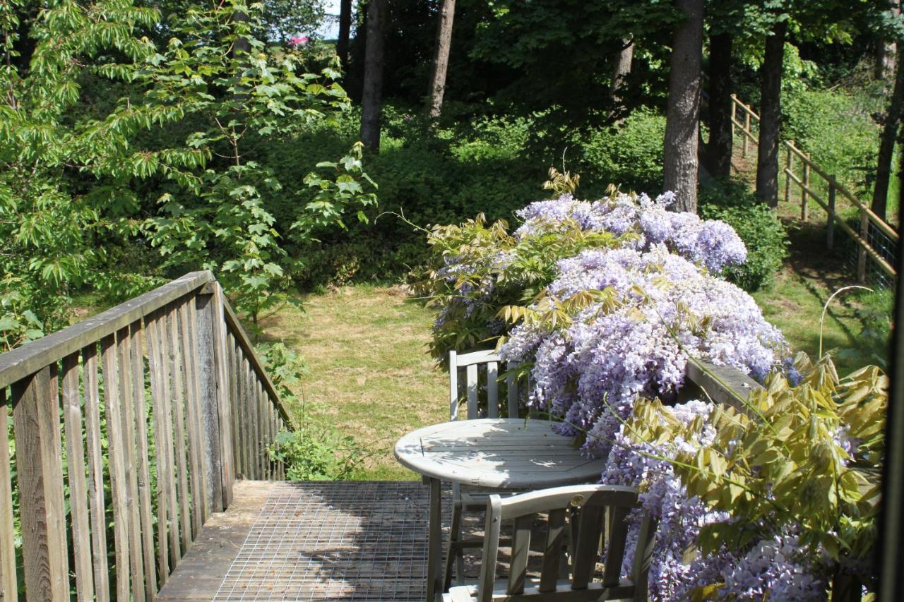 Knapp House Lodges East Anstey Zewnętrze zdjęcie