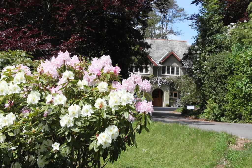 Knapp House Lodges East Anstey Zewnętrze zdjęcie